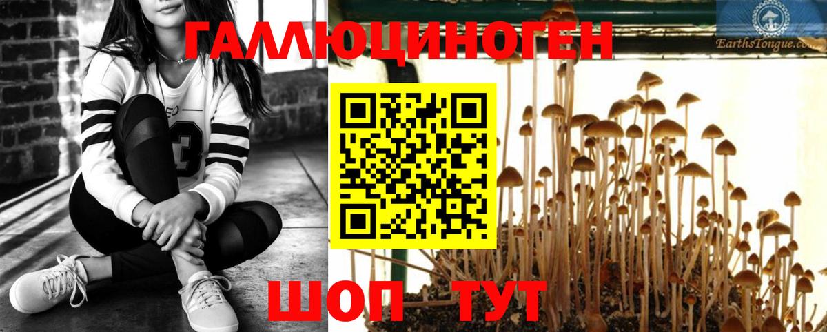 Комсомольск-на-Амуре  Галлюциногенные грибы мухоморы  Вход с VPN 