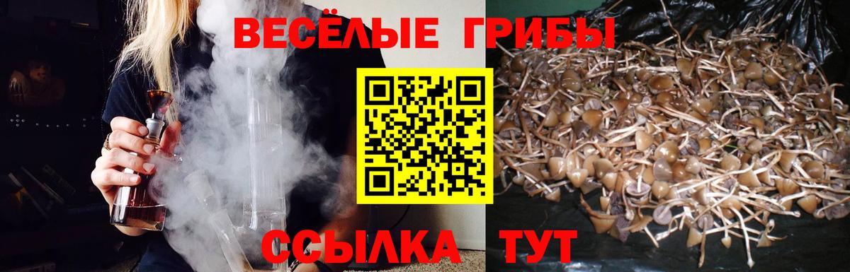 Галлюциногенные грибы мухоморы Комсомольск-на-Амуре